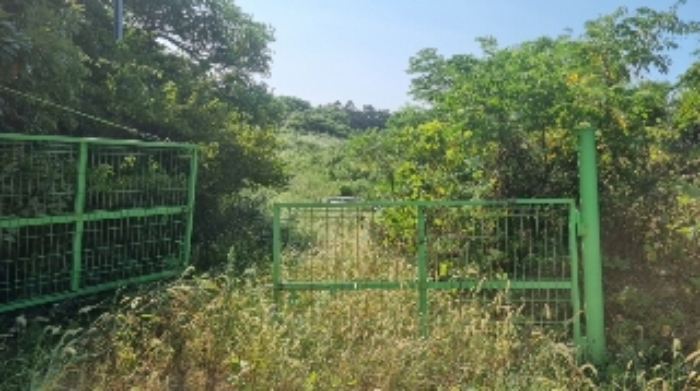 소재지1(조천리 763) 출입로 전경