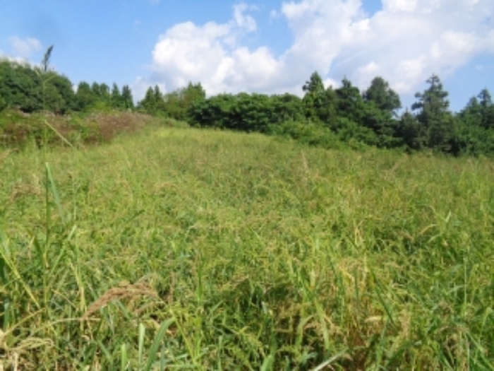 본건(동광리 464) 전경 사진