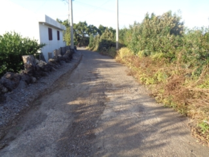 소재지5(보성리