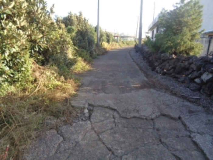 소재지5(보성리