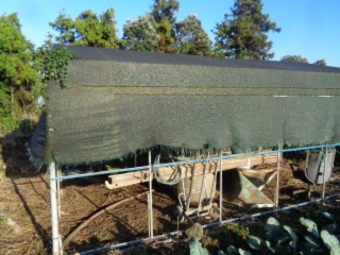 소재지5(보성리