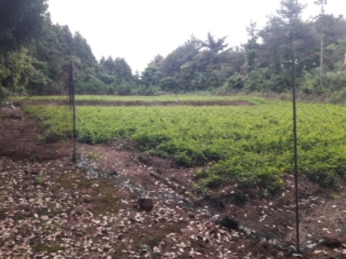 소재지2.(토산리 705) 전경