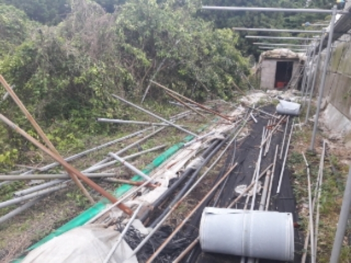 소재지1.(토산리 702) 지상 비닐하우스 시설 철거 모습