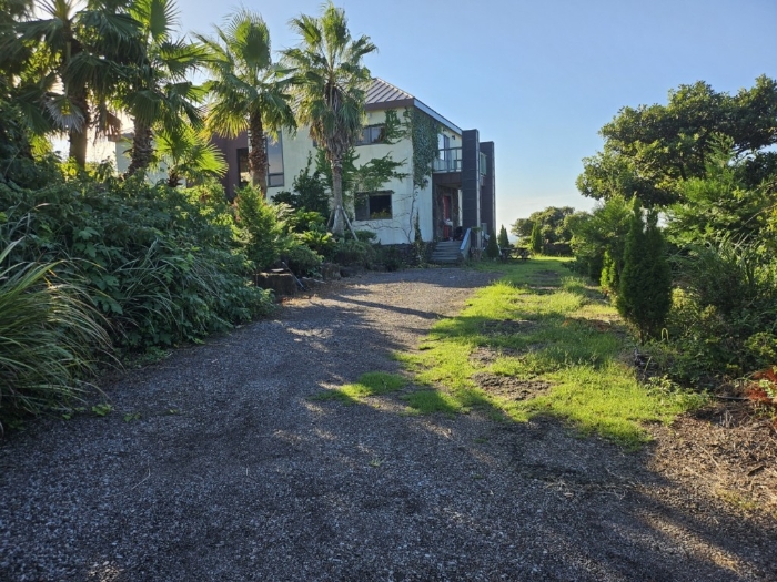 감정서 표지사진