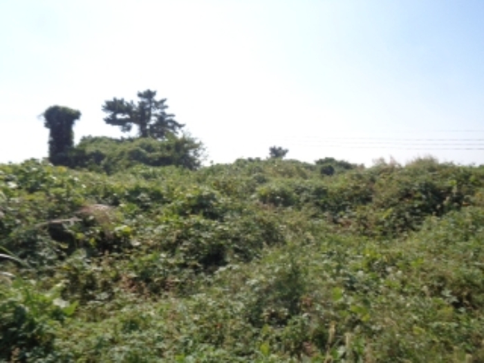 소재지2(저지리 1268-7)전경 사진