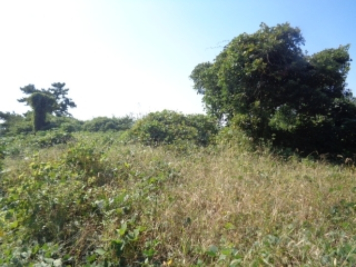 소재지2(저지리 1268-7)전경 사진