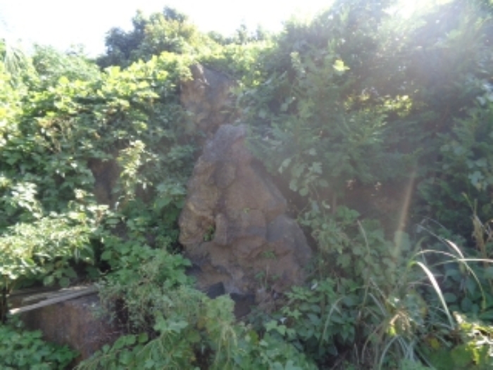 소재지1(저지리 1268-10) 지상 소재 조경석 사진