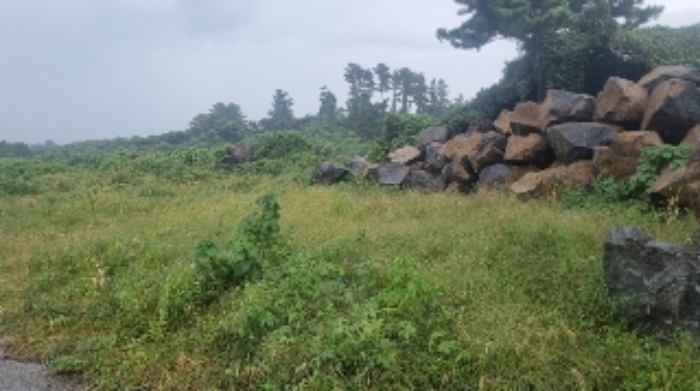 소재지3(상도리 979-1) 전경3