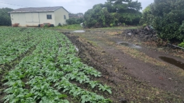 소재지4(상도리 979-2) 전경1