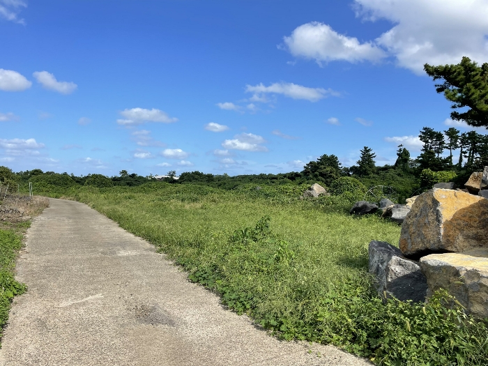 기호(3) 전경 및 기호(4) 지상 현황 도로