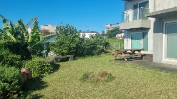 소재지2(서호동 680) 지상에 소재한 조경수