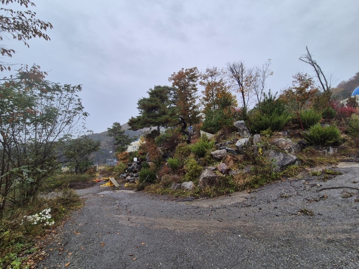 제시외 석축 전경