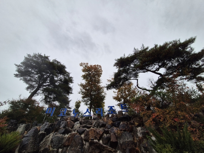 제시외 수목 전경-1