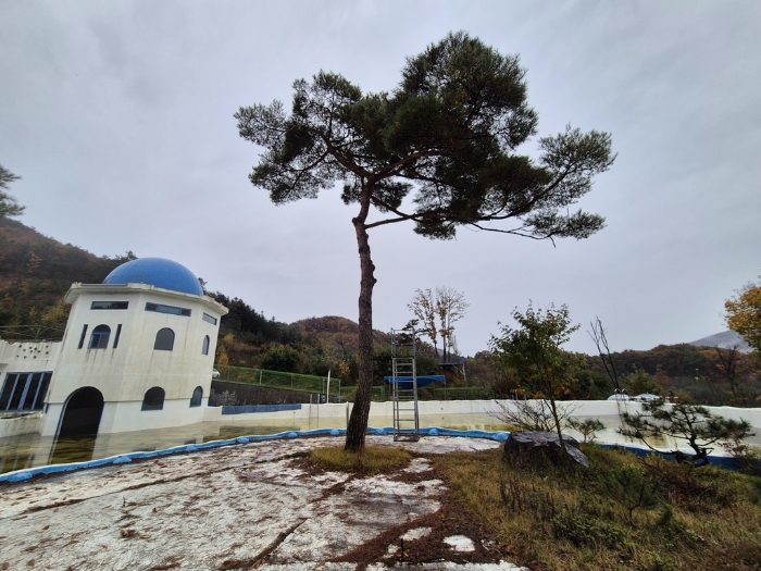 제시외 수목 전경-2