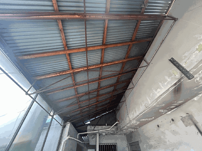 제시외 건물 ㉡