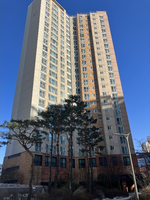 서측에서 본 본건