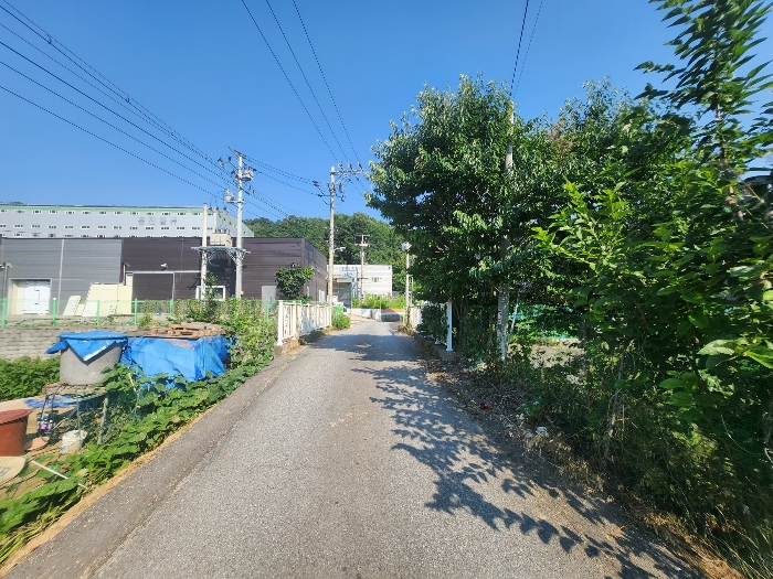 본건 기호(7) 전경