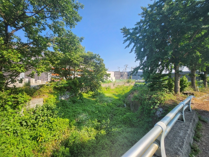 본건 기호(6) 전경