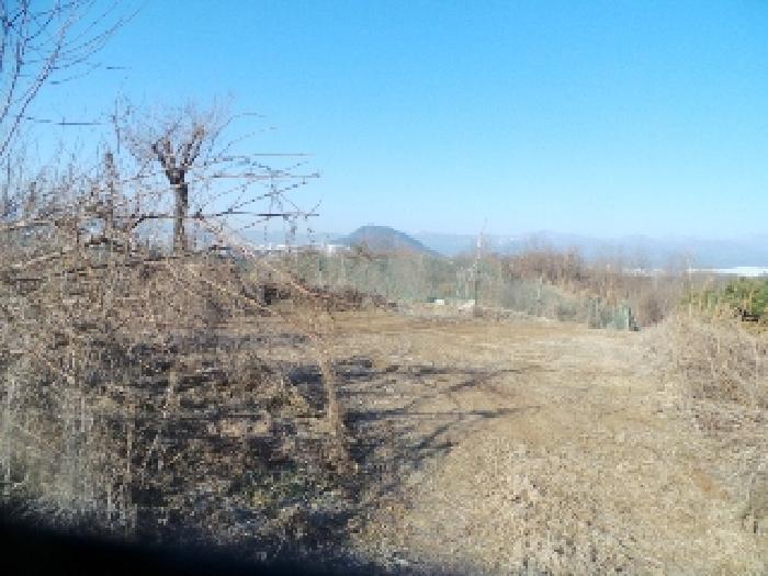 사진7번 [목록번호1-4번 부동산 일부 전경]