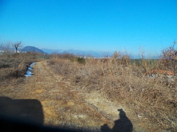 사진5번 [목록번호1-4번 부동산 일부 전경]