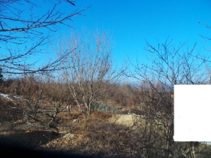 사진10번 [목록번호5번 부동산 일부 전경]