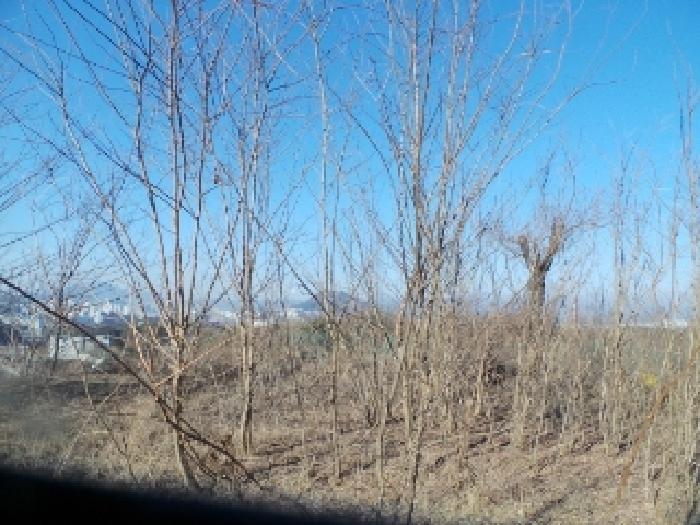 사진8번 [목록번호1-4번 부동산 일부 전경]