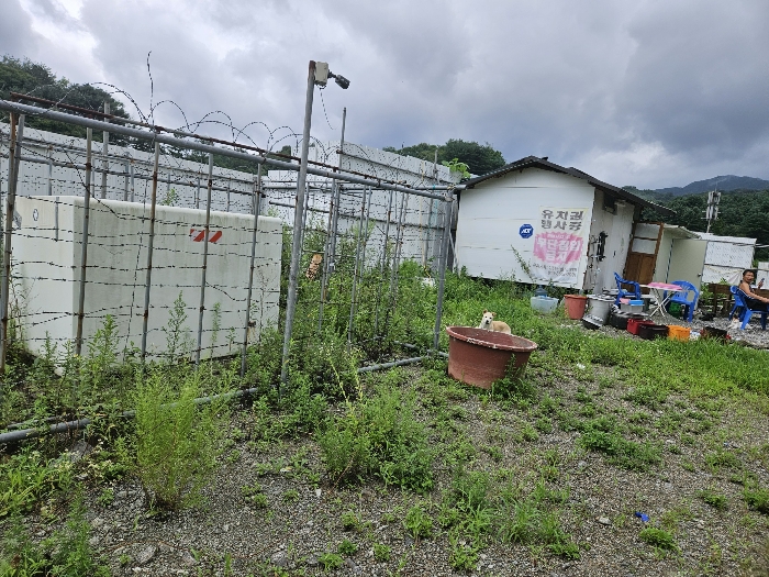 제시외 건물(유치권자 거주 중)