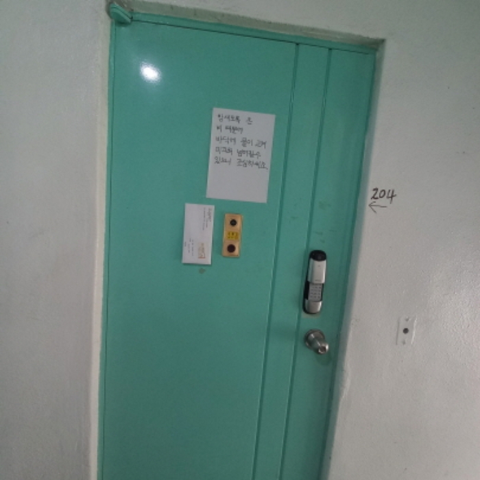 204호
