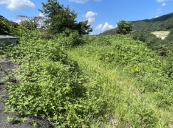 현장사진(원당리 315-31)