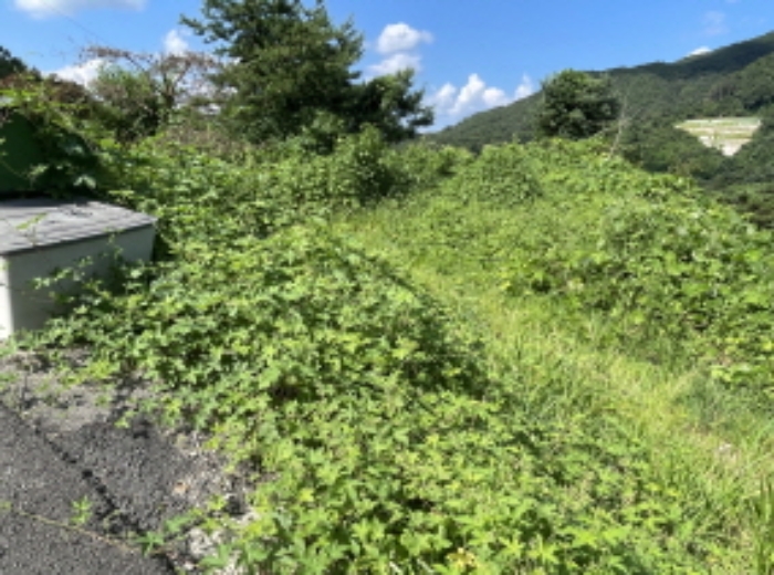 현장사진(원당리 315-31)