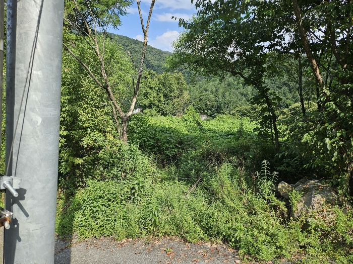 본건 기호3 토지의 모습