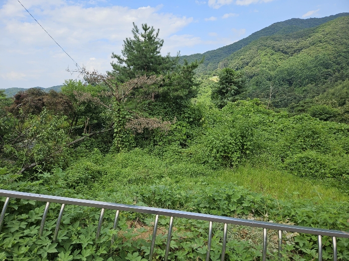 본건 기호4 토지의 모습