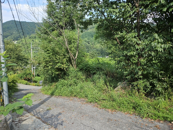 본건 기호3 토지 모습