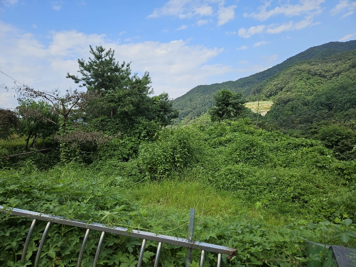 본건 기호4 토지의 모습