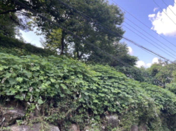 현장사진(원당리 315-6)