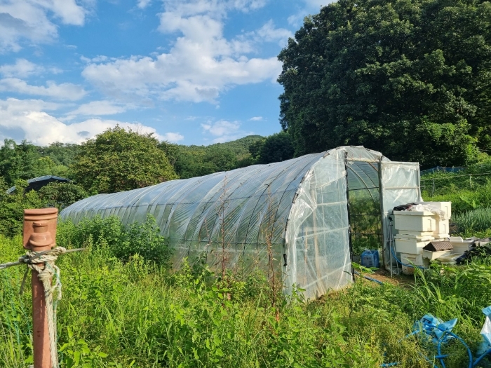 본건 지상 제시외건물(비닐하우스)