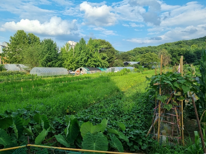 본건 남동측에서 촬영