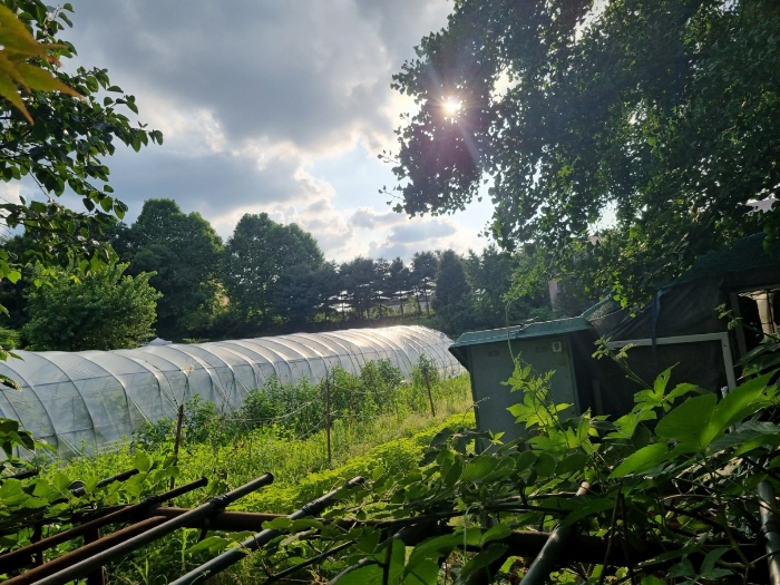 본건 북동측에서 촬영