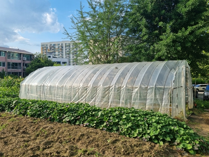 본건 지상 제시외건물(비닐하우스)