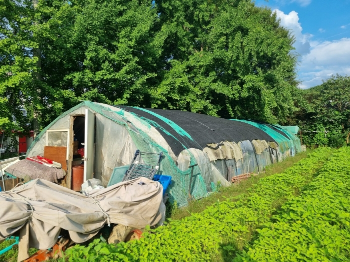 본건 지상 제시외건물(창고)