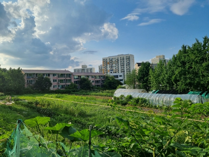 본건 남동측에서 촬영