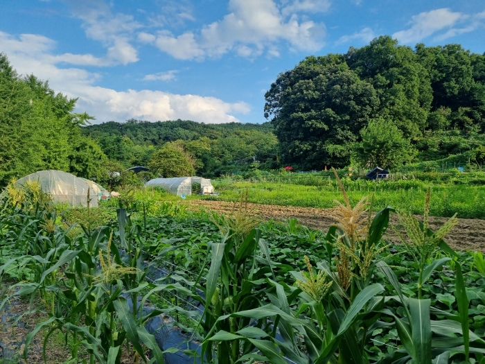 본건 북서측에서 촬영