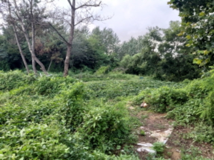 * 본건 목적물1. 전경