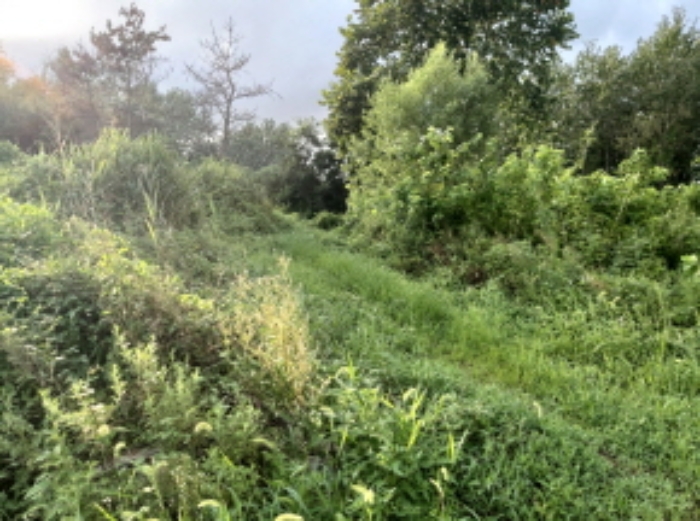 * 본건 목적물1. 전경