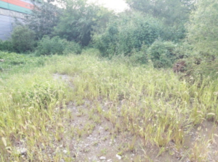 * 본건 목적물1. 전경