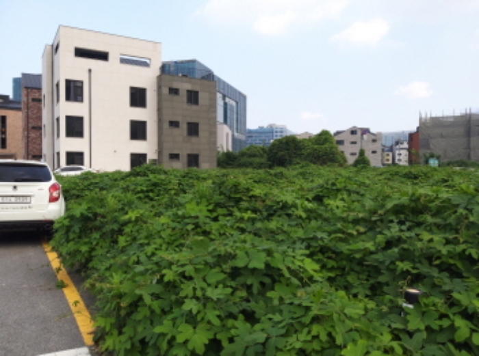 * 본건 목적물 전경