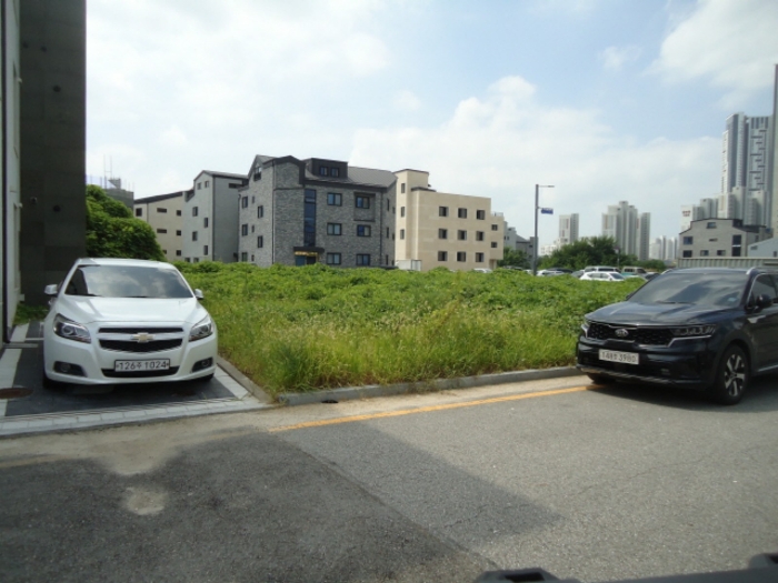 본건 접면도로 상황