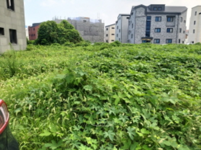 * 본건 목적물 전경