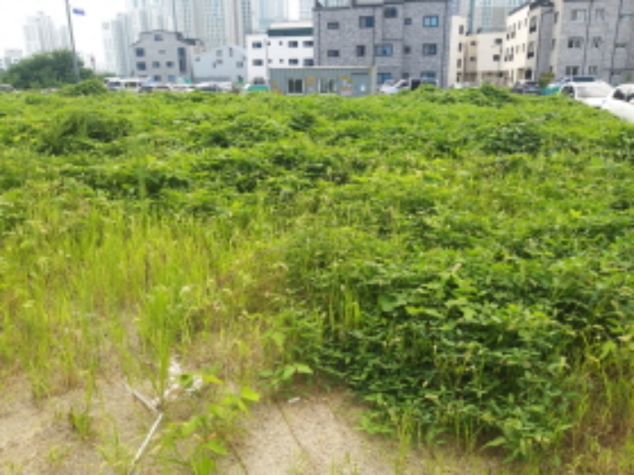 * 본건 목적물 전경