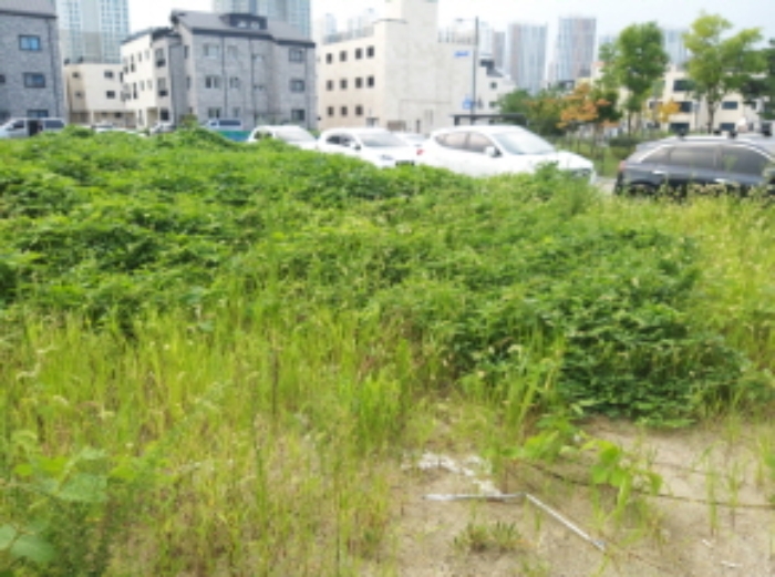 * 본건 목적물 전경